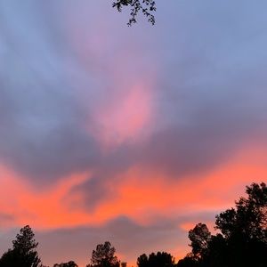 Meet your Posher, Colin